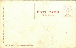 Vintage PPC Postcard The L.A. Thompson Scenic Railway Venice CA California UNP