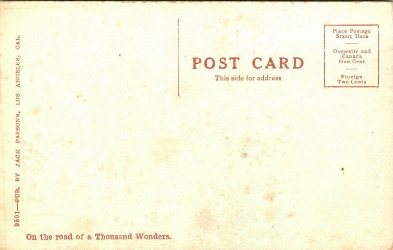 Vintage PPC Postcard The L.A. Thompson Scenic Railway Venice CA California UNP