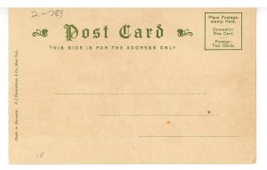 CT - Waterbury. Bronson's Public Library