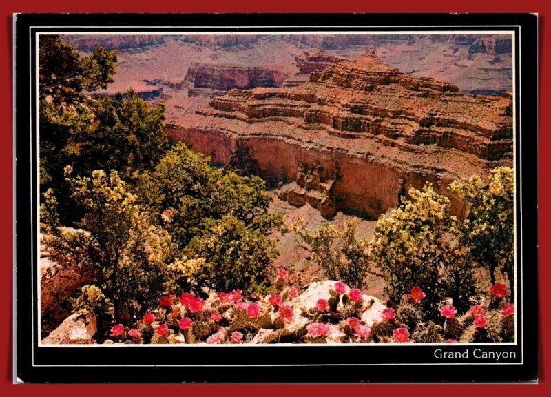 Arizona,  Grand Canyon - Spring On The North Rim  - [AZ-420X]