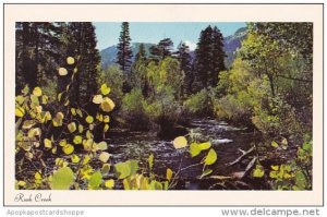 California Rush Creek Among The Creeks Of The High Sierra