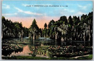 Vtg Wilmington North Carolina NC Lilies in Greenfield Lake View Linen Postcard