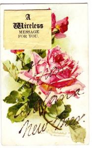 Rare SOLANA New Mexico Greetings Postcard Flowers