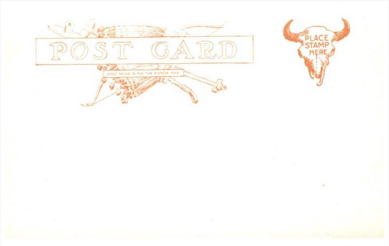 American Indian  Indian Dancer