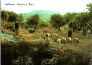 Israel Bethlehem Shepherd's Field