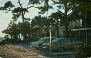 Dunedin Gardens Apartment Motel Florida True to life Postcard roadside 20-3180