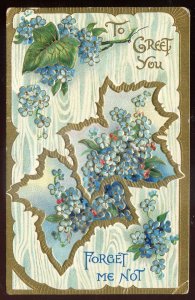 h2509 - GREETING Postcard 1911 Embossed Gilded Forget Me Not Flowers