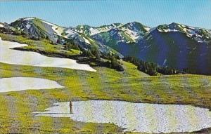 Washington Olympic National Park The Olympic Mountains From Obstruction Point