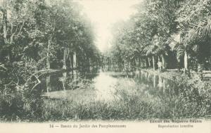 mauritius, PAMPLEMOUSSES, Bassin du Jardin (1910s)