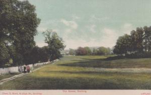 The Nower Heath Dorking Surrey Vintage Landscape Old Postcard