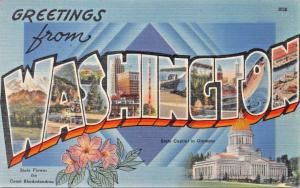 5 LARGE LETTER POSTCARDS 1940s WASHINGTON-COLORADO-IDAHO-MICHIGAN-MONTANA