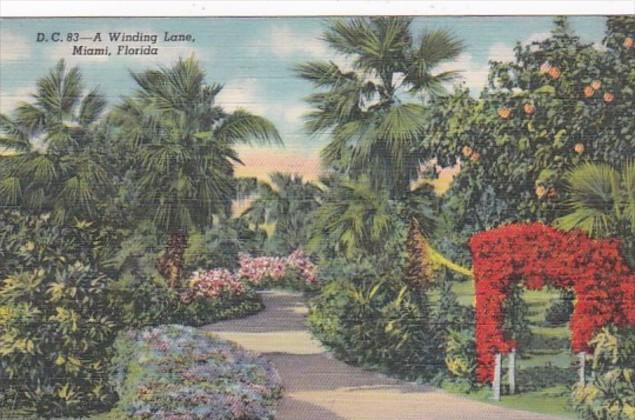 Florida Miami Beautiful Winding Lane 1947 Curteich