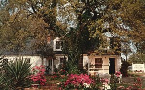 Vintage Postcard 1966 Lazelle's Flower Shop Broadway Myrtle Beach South Carolina