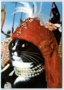 Dressed Cat MAHARAJAH OF KATPUR ~ Michael Weigall 1986 ~ 4x6 Fantasy Postcard