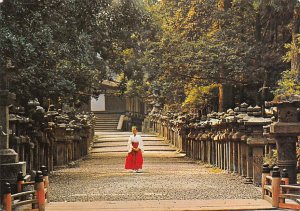 Rows of Stone lanters Kasuga Shrine, Nara Japan 1971 