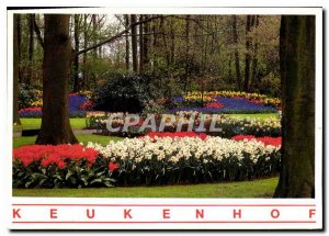 Modern Postcard Holland Keukenhof