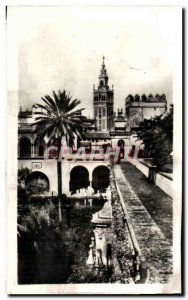 Postcard Modern Sevilla La Giralda Desde Los Reales Alcazares La Giralda Of t...