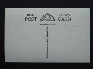 Devon MORELAND PONY & FOAL c1950s RP Postcard by Sweetman