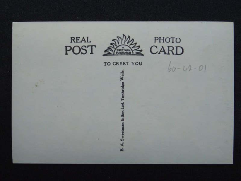 Devon MORELAND PONY & FOAL c1950s RP Postcard by Sweetman