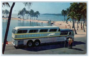 1968 America's Bus Scene Greyhound Super Scenicruiser Chicago Illinois Postcard