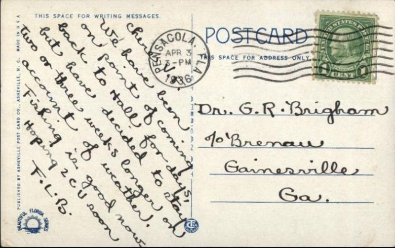 Caloosahatchee River FL c1920s Postcard