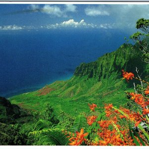 c1990s Kalalau Valley, HI Breathtaking Lush Valley Water Erosion Lava 4x6 PC M16