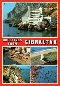 CPA Gibraltar-Greetings from Gibraltar (320851)