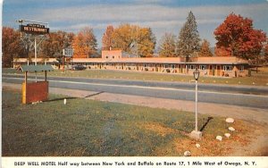 Deep Well Motel Owego, New York Postcard