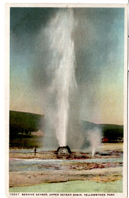 YELLOWSTONE, BEEHIVE GEYSER, UPPER GEYSER BASIN, DIVIDED BACK