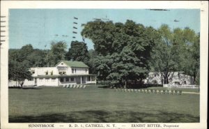 Catskill New York NY Sunnybrook Cauterskill Creek Vintage Postcard