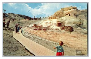 c1959 Postcard WY Minerva Terrace At Mammoth Yellowstone National Park Wyoming 