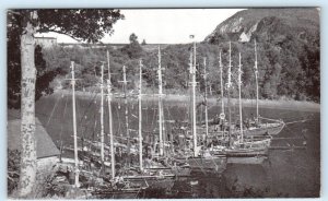 INGONISH, Cape Breton Island Nova Scotia Canada ~ SWORDFISHING Boats  Postcard