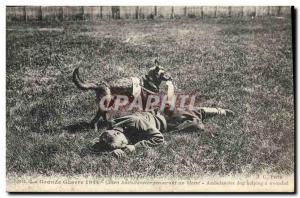 Postcard Old Dog Dogs Dog ambulance rescuing a wounded Red Cross Militaria