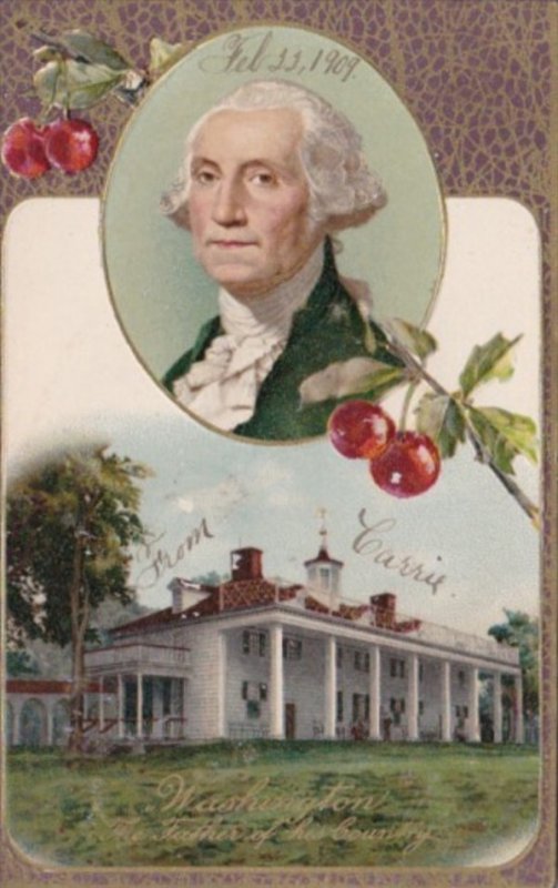 George Washington The Father Of His Country