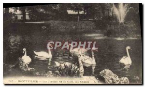 Old Postcard Montpellier Gardens Station Swans