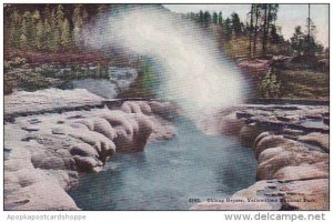 Wyoming Yellowstone National Park Oblong Geyser