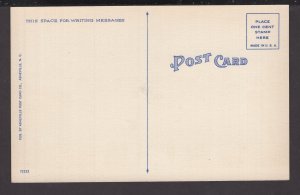 Virginia Pulaski County Court House with Flags ~ Linen