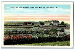 c1920's Number Ten Trial Garden Henry Field Seed Co. Shenandoah Iowa IA Postcard