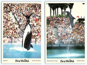 2 Postcards SEA WORLD ~ Killer Whale SHAMU & DOLPHIN SHOW 1985 ~ 4x6