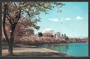 Washington DC - Jefferson Memorial - [DC-289]