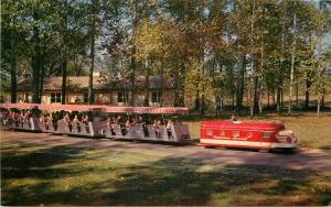 Gateway Grants Farm Miniature Railroad 1950s St Louis Missouri Postcard 12220