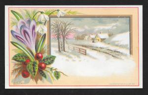 VICTORIAN TRADE CARDS (2) Stock Cards Flowers Autumn & Winter Views c1882