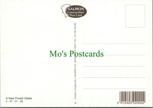 Hampshire Postcard - A New Forest Glade - Nature / Trees  RR12094