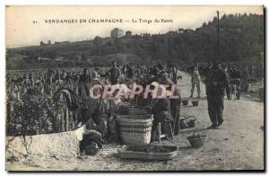 Vintage Postcard Folklore Vine Grape harvest Champagne the p