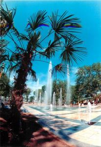 Romania view from Mamaia Black Sea resort palm tree & water fountains postcard