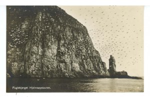 Norway - Hjelmsoystauren. (The Bird Mountain)  RPPC