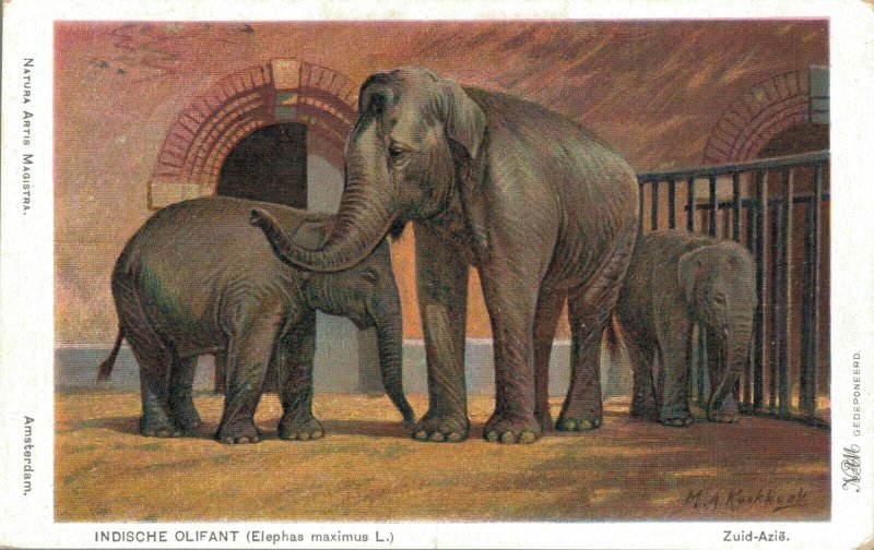 Indonesia Litho Southeast Asia Elephant 04.36