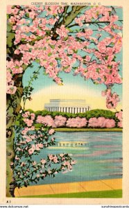 Washington D C At Cherry Blossom Time