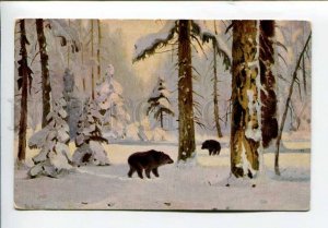 423438 RUSSIA Brovar bears Richard #746 HUNTING old postcard