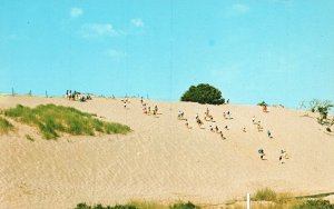 Vintage Postcard Typical Sunny Day People Walking on Sand Dunes Cape Cod Mass.